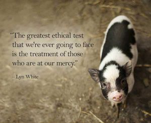 The greatest ethical test