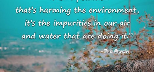 “It Isn’t The Pollution That’s Harming The Environment. It’s The Impurities In The Air And Water That Are Doing It.”
