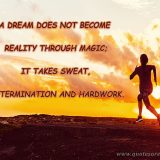 A Dream Doesn't Become Reality Through Magic; It Takes Sweat, Determination, And Hard Work.