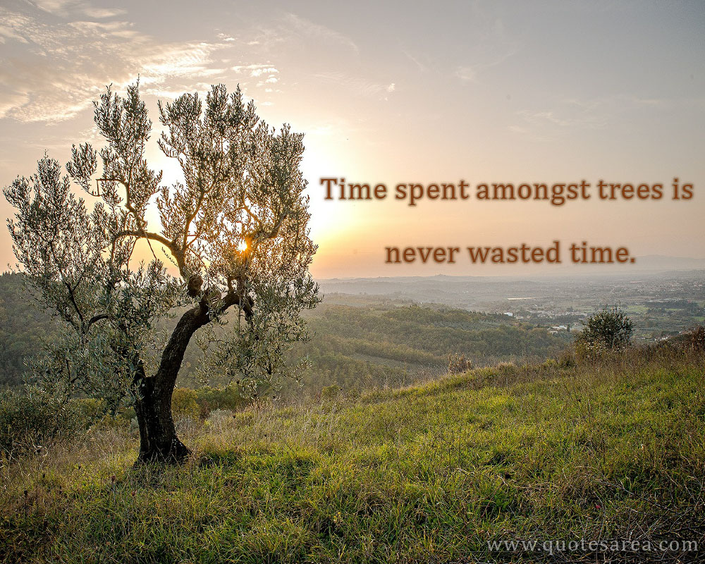 Time spent amongst trees is never wasted time